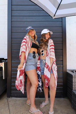 THE PARTY IN THE USA